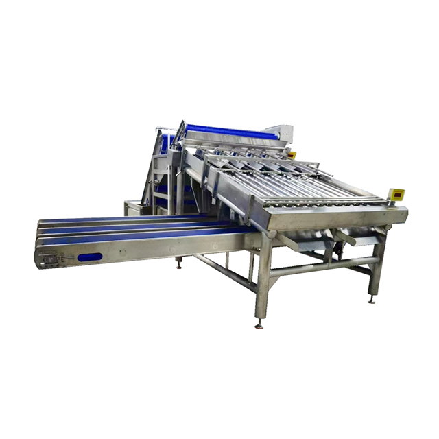 Automatic Shrimp Grading Machine