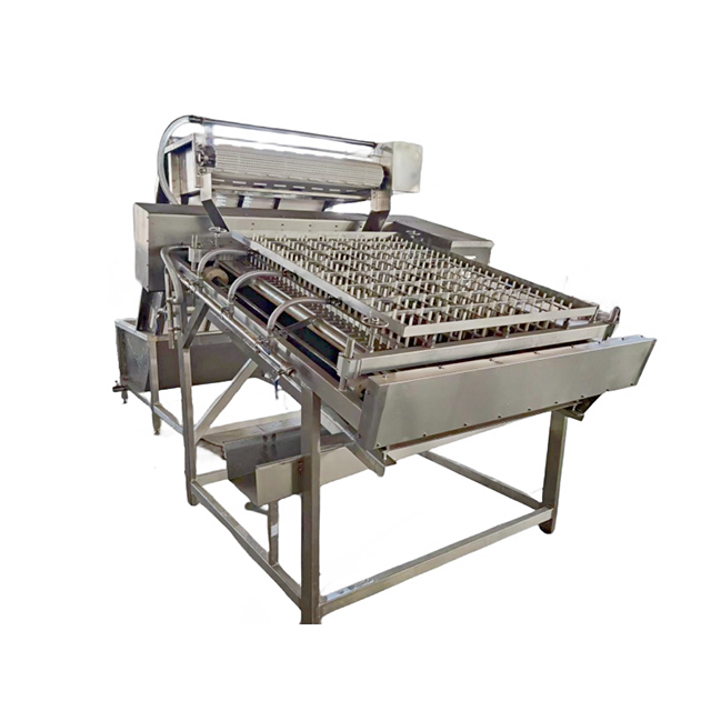 Automatic Shrimp Peeling Machine