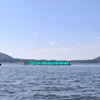 Floating HDPE Fish Aquaculture Pisciculture Cultivate Breeding Farming Cage with Net