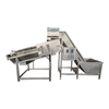 Automatic Shrimp Peeling Machine