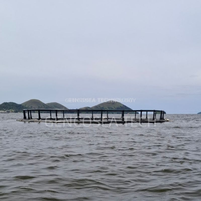 Floating HDPE Fish Aquaculture Pisciculture Cultivate Breeding Farming Cage with Net